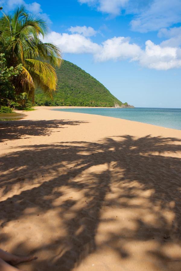 Lodge Coco Deshaies Bagian luar foto