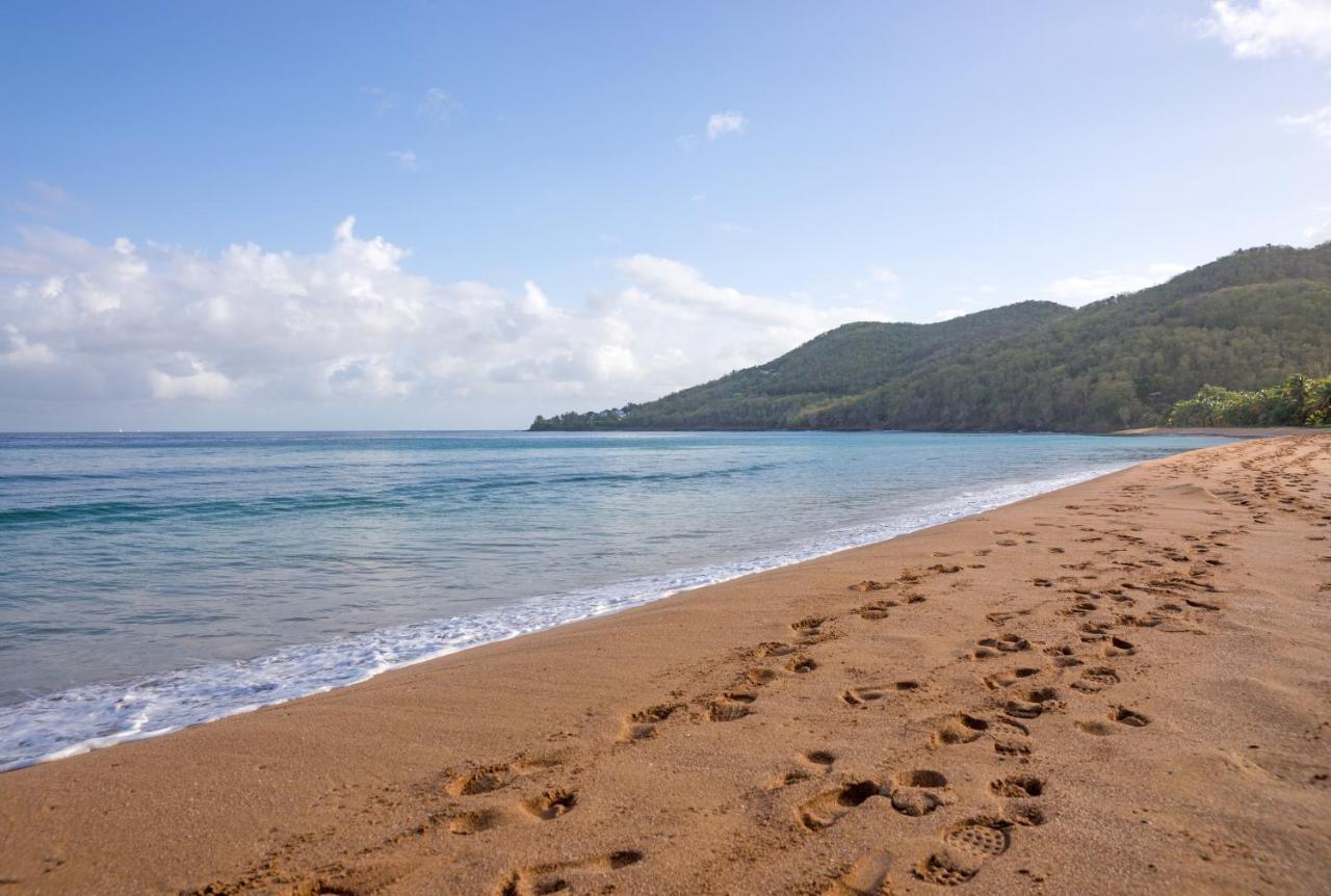 Lodge Coco Deshaies Bagian luar foto