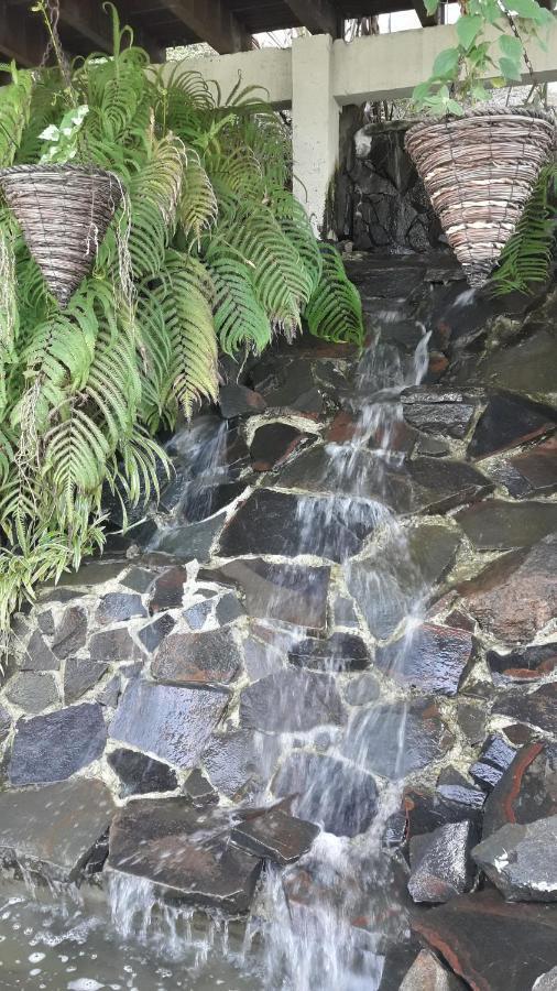 Lodge Coco Deshaies Bagian luar foto